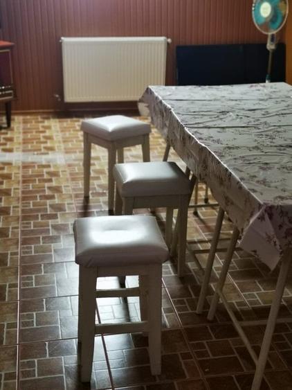 Imobil Mosoaia - Hintesti, 14 camere, teren 1.382mp - 19