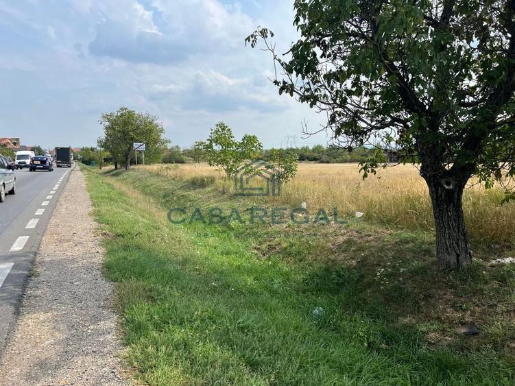 Teren de 7.000 de mp, Calea Clujului, zona showroom-uri auto, dublu front strada - 2