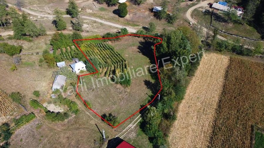 Teren de vanzare in comuna Baicule?ti, sat Tutana, jude? Arge?. - 10