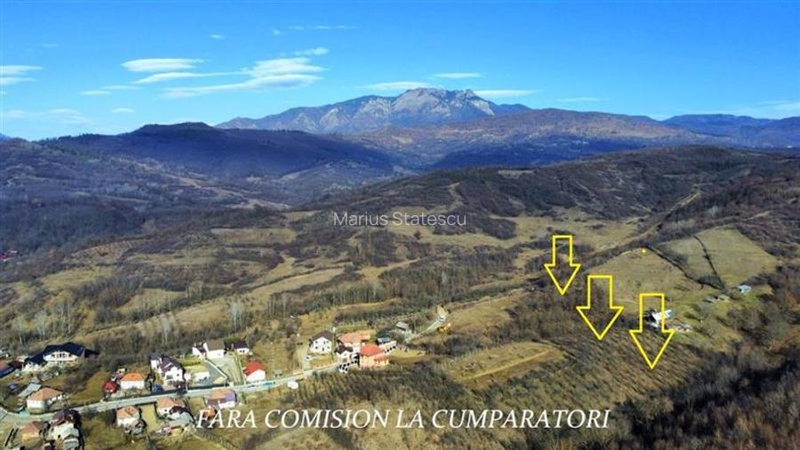 OPORTUNITATE DE INVESTITIE, TEREN 8630 MP, CALIMANESTI