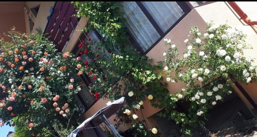 Casa / Vila ( P + E + Pod ) Zona Mitocul Dragomirnei - 6