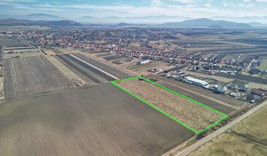 Teren Extravilan, P.U.Z. inceput - 2