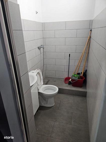 Hala lux detailing auto 595 mp Domnesti - 6