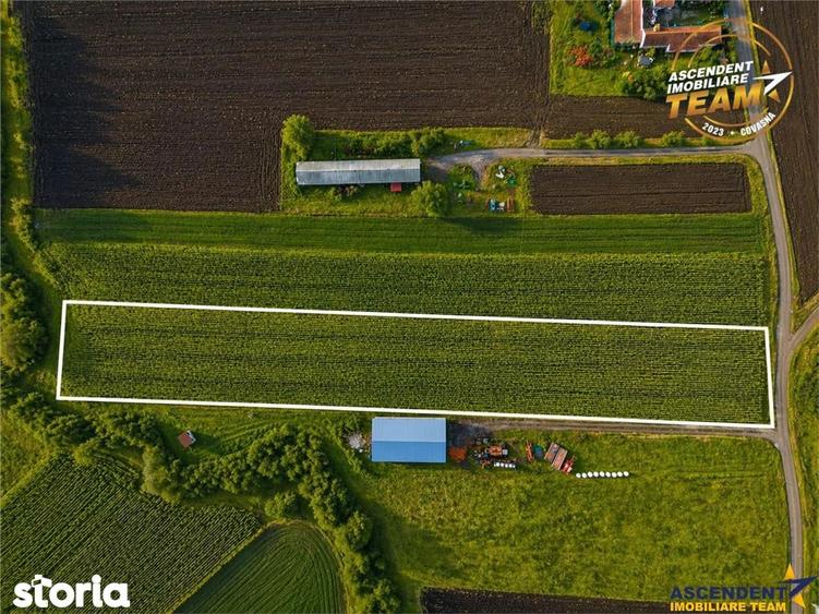 Film! Teren de 5.800 mp, Dobolii de Jos, Covasna - 5