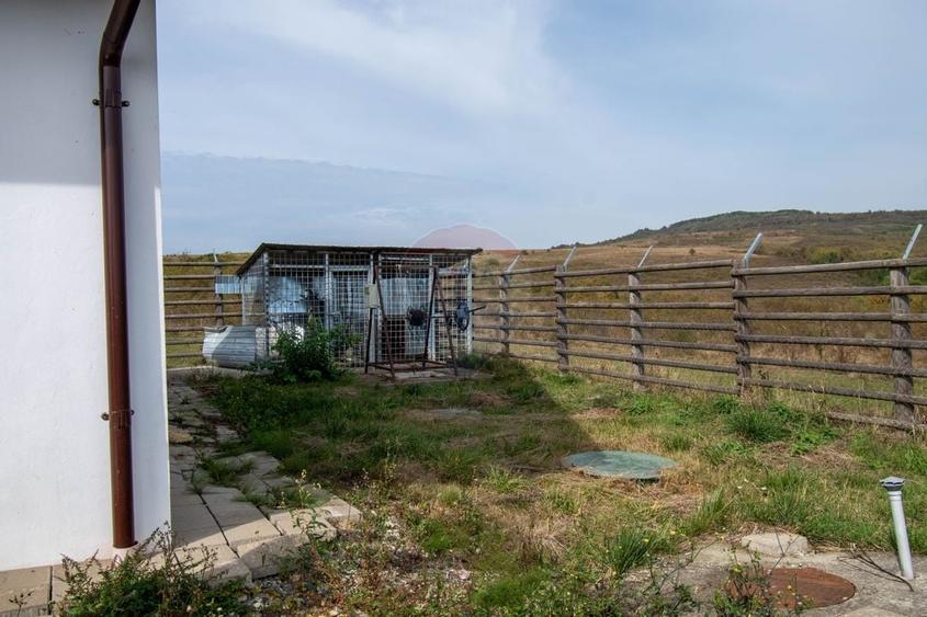 Ferma moderna de porci de vanzare in Curtuiusu Dejului - 21