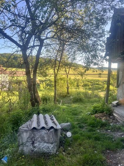 Casa de vanzare Timpa - 5