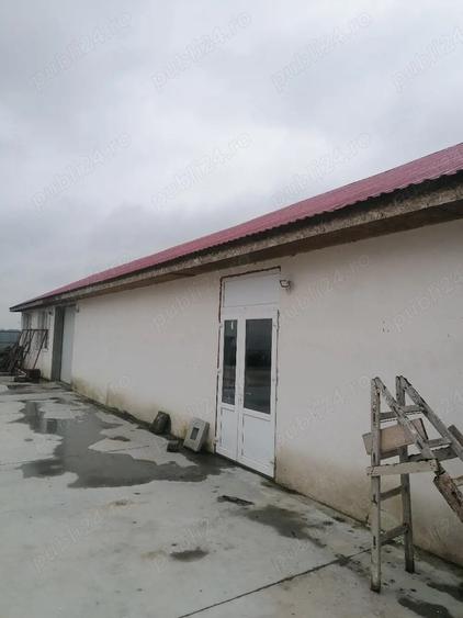 Spa?iu de inchiriere - 1