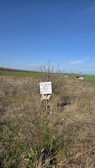 Teren de vanzare Costinesti | Oportunitate investitie - 2