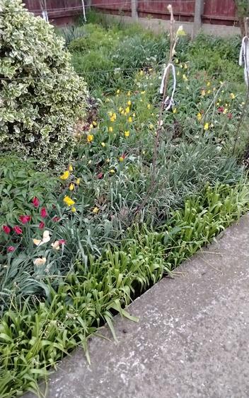 Vand casa  singurul proprietat - 1