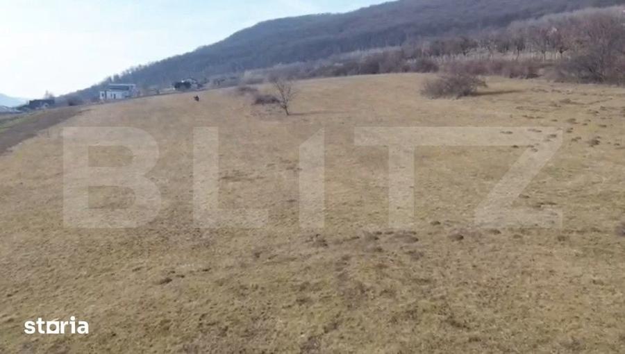 Teren de 4100 mp, în Viișoara