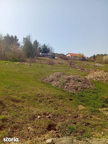 Teren de vanzare - 3