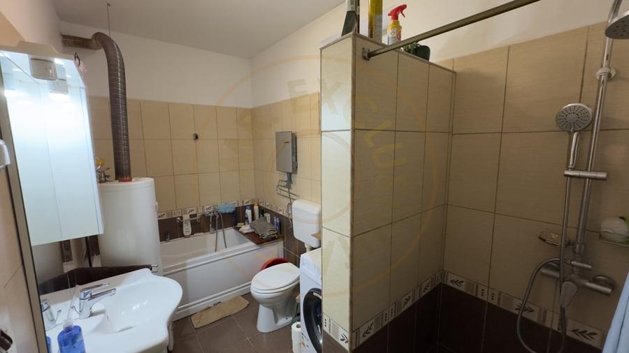 Casa 4 camere cu Teren 2.974 mp | Rezidenta sau afacere | Carei - 9