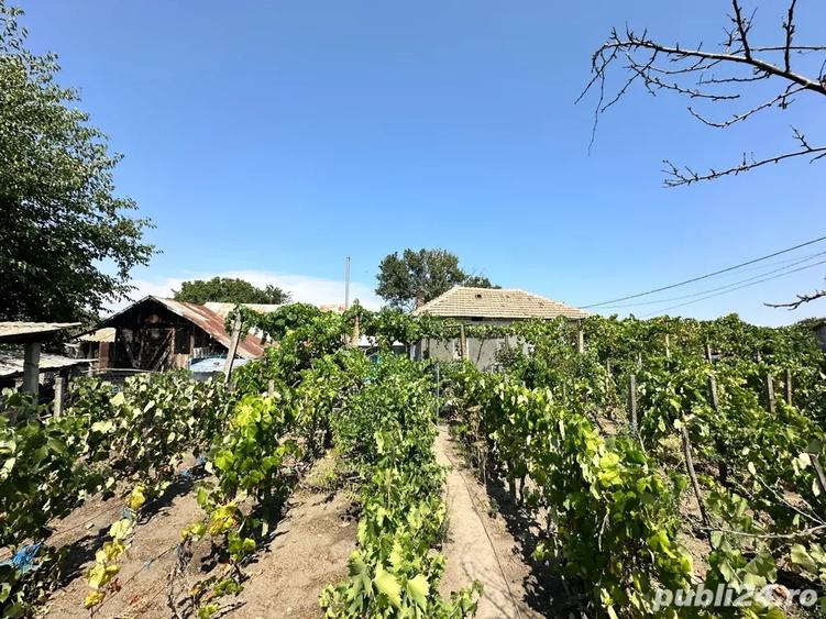 Casa Jiana Veche - 3