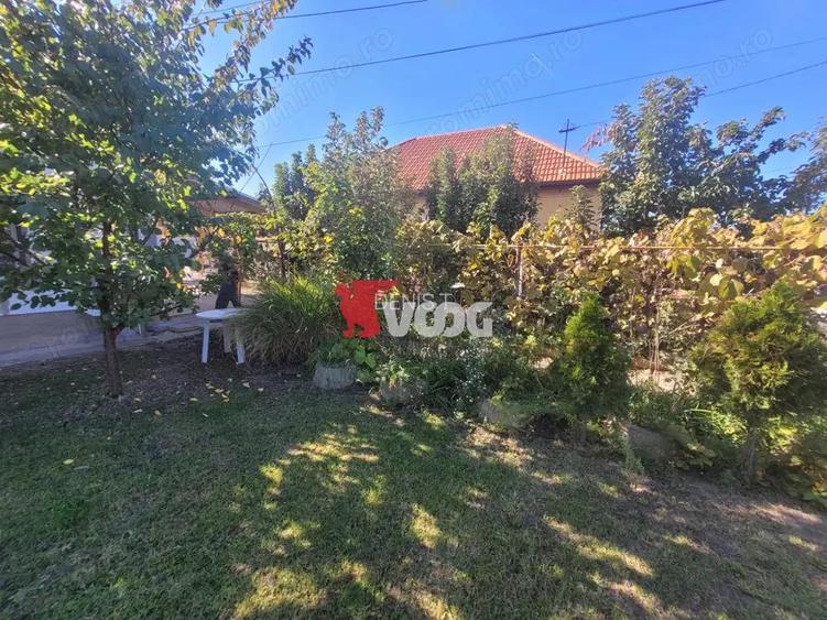 Casa in zona Muzicescu Sagului Casa in zona Muzicescu Sagului