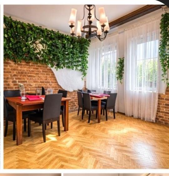 Vila,Decebal-Dristorului tradal - 3