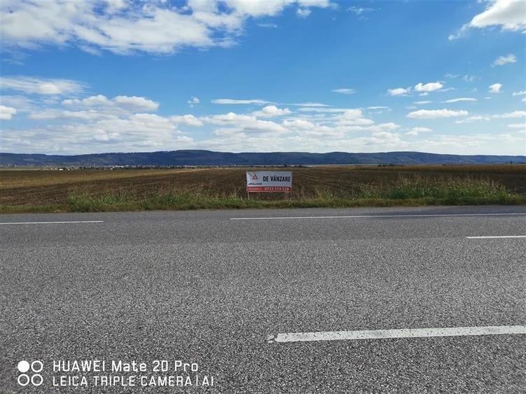 Teren iesire din Nicolae Balcescu, la 200ml de E85 Bacau - 3