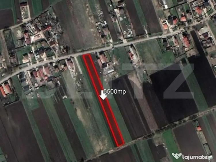 Teren 5500mp intre case, Stupini - 1