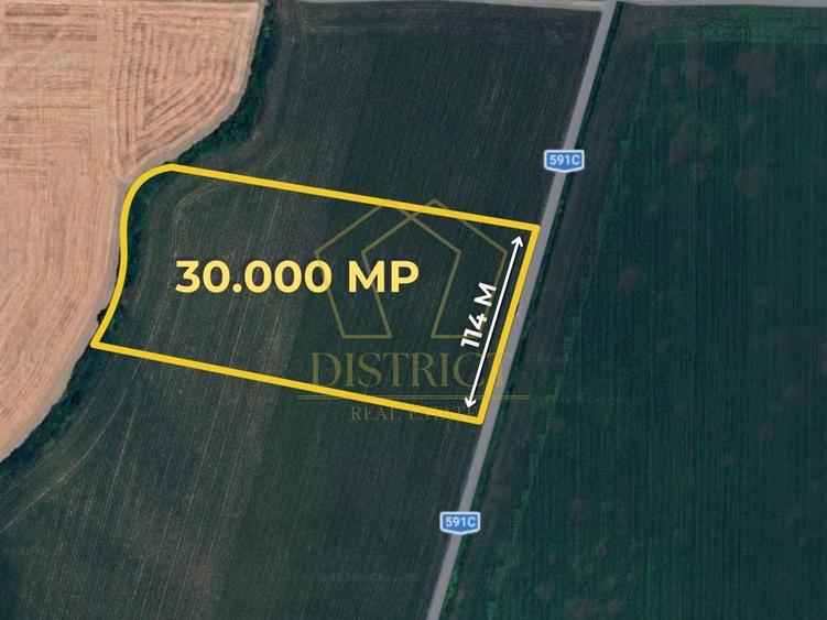 COM 0% Teren extravilan industrial la drumul judetean | Sacalaz - 1