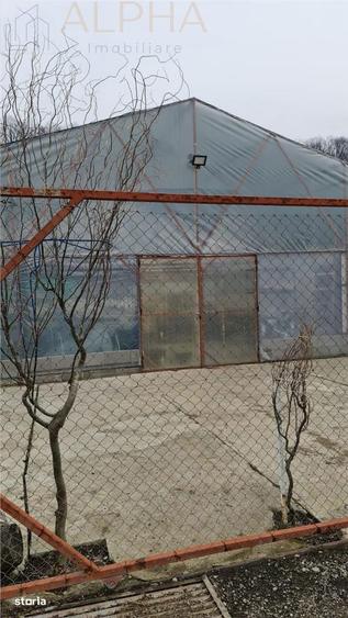 AFACERE LA CHEIE HALA PRODUCTIE + SERA PROFESIONALA - 9