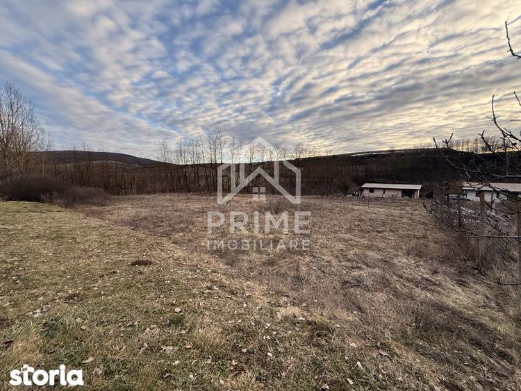 TEREN INTRAVILAN 675MP, CIUGUD - 2