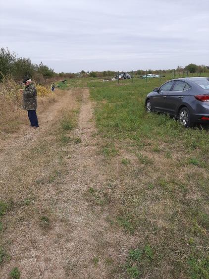 Teren  PERIS- Movila  - 6