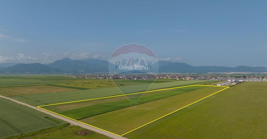 Teren 42,000mp Tarlungeni / Strada Izvor