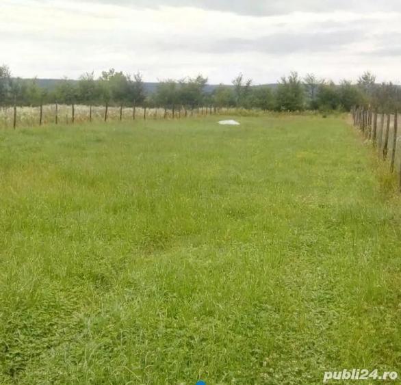 Teren de 2200 mp, în Colibași