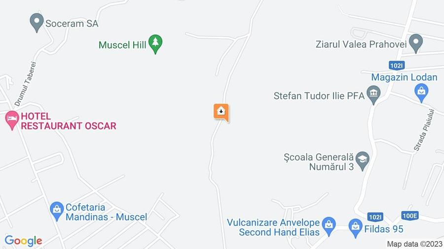 Teren Construcții intravilan de 9900 mp, în Mușcel