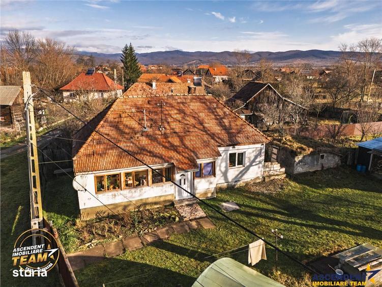 FILM! Casa cu sura, pivnita, balta cu pesti, 2.280 mp teren roditor, L - 6