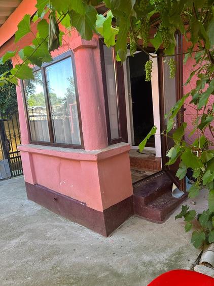 Casă cu 4 camere cu Teren 700 Mp în Viișoara