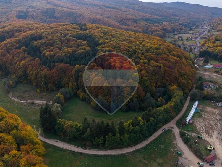 Teren agricol extravilan de 9540 mp, în Teliu