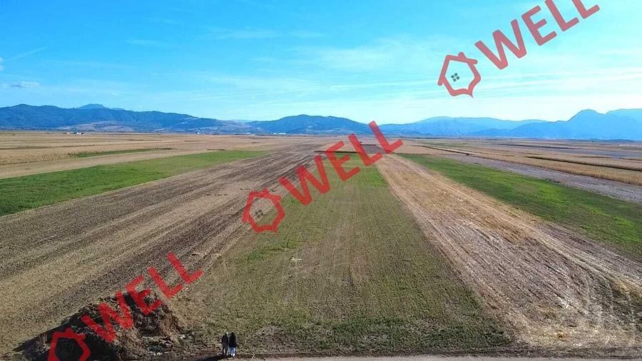 Teren agricol extravilan de 10000 mp, în Prejmer