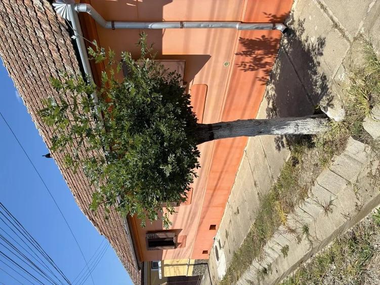 Casă cu 3 camere în Central