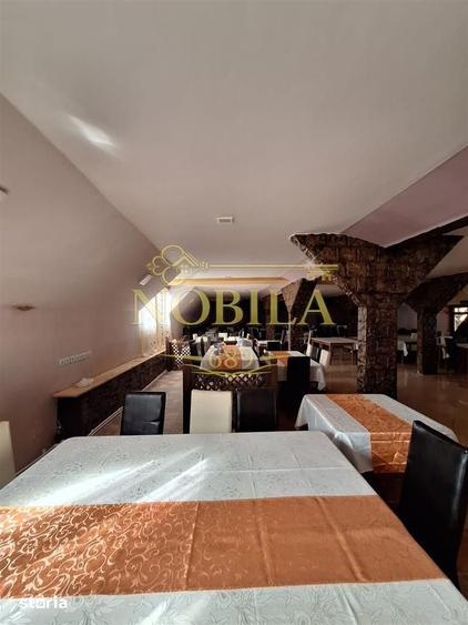 Spațiu comercial, de 1,000 mp, în Dofteana