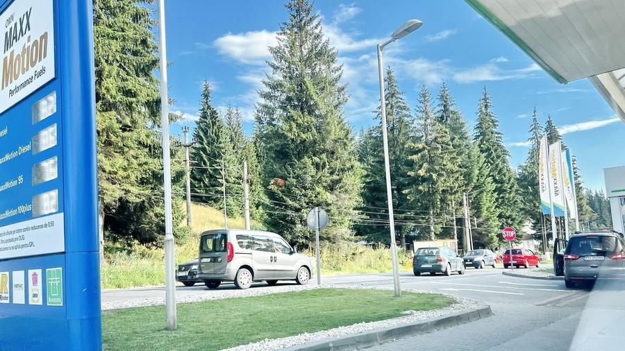 Teren Construcții intravilan de 9000 mp, în Malul Ursului