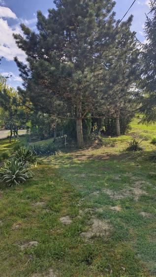 Teren de 700 mp, în Corunca