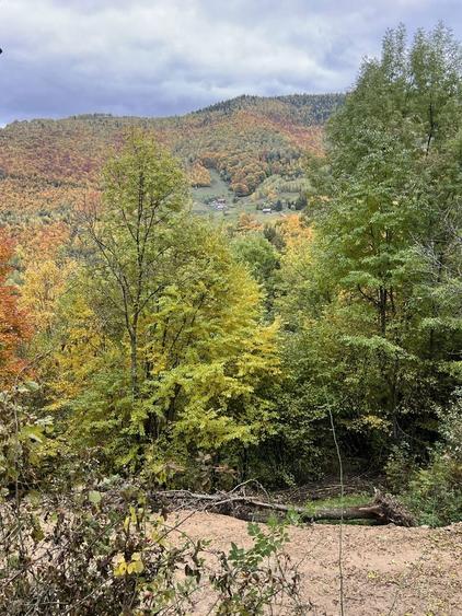 Teren de vanzare-Muntele Rece - 8