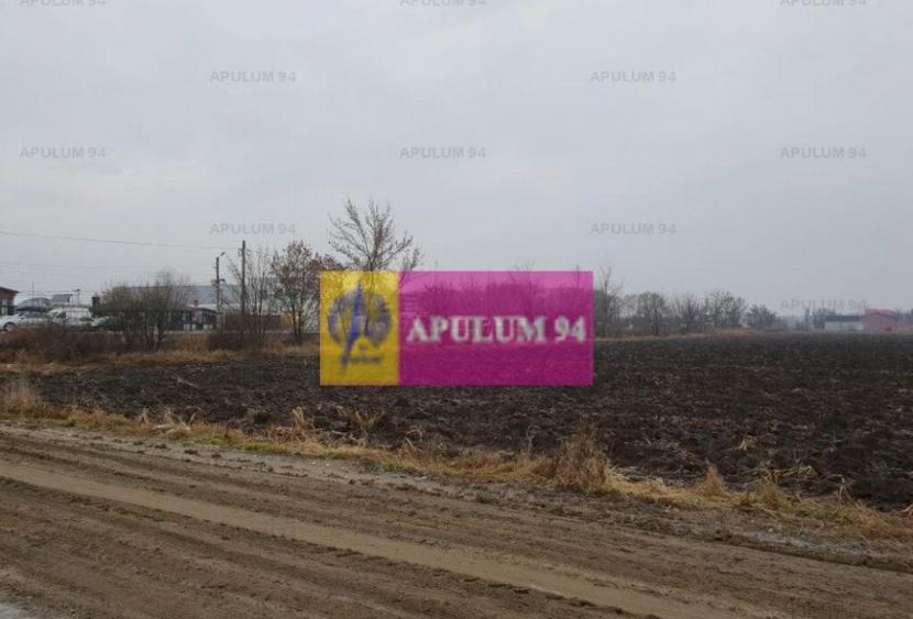 Teren ideal showroom, depozit, logistica, magazin, hala, ... - 5