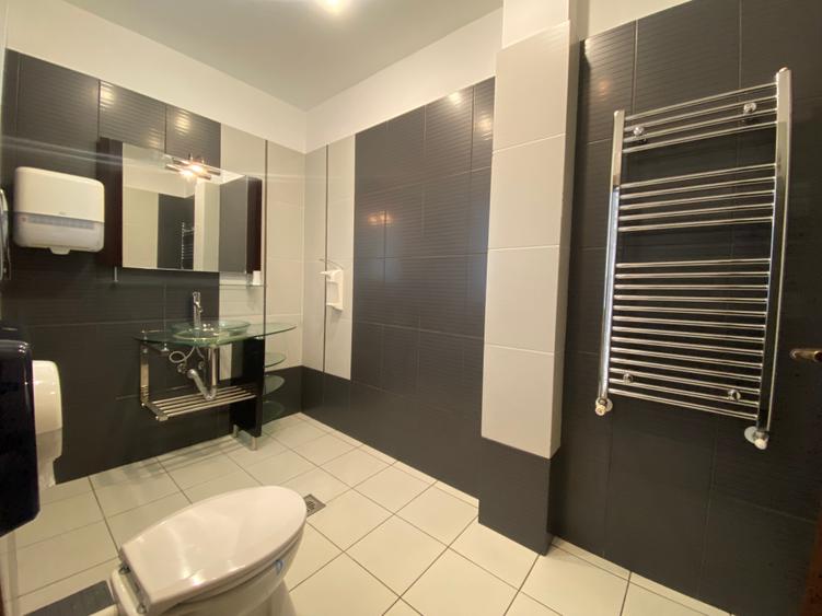 Great duplex penthouse apartment for rent-Residential/Office - 7