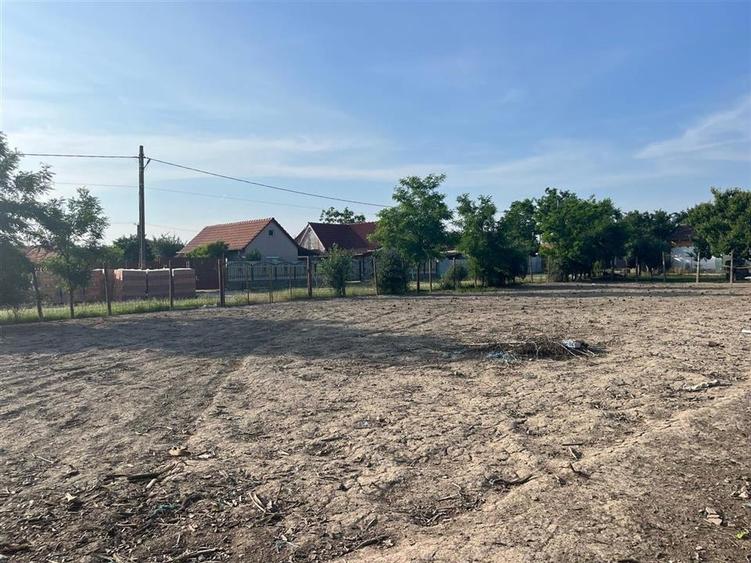 RECO Casa in  Salard -teren 1439 mp - 11