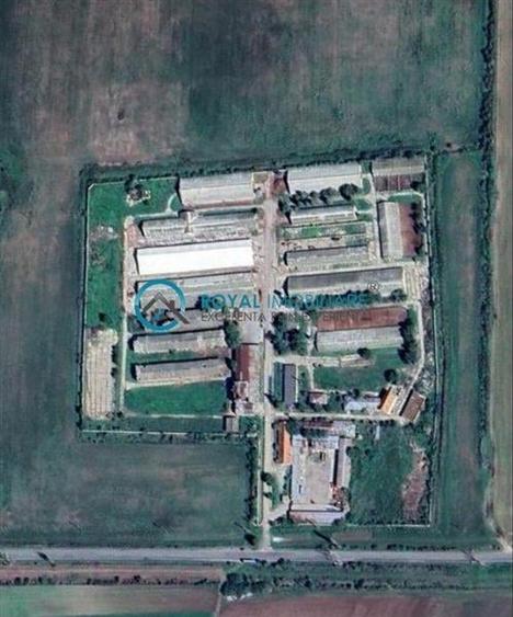 Royal Imobiliare - Vanzare ferma zootehnica, zona Tomsani - 1