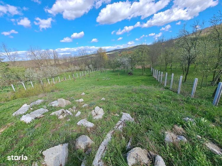 Teren de vanzare 3600mp, cu proiect si autorizatie- Berghin- Straja - 4