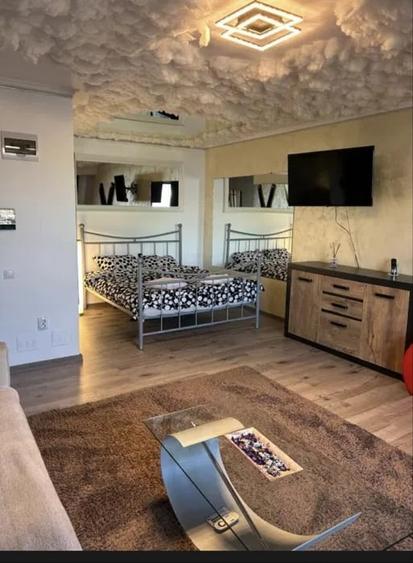 Apartament de vanzare 1 camera,Zona Avram Iancu - 4