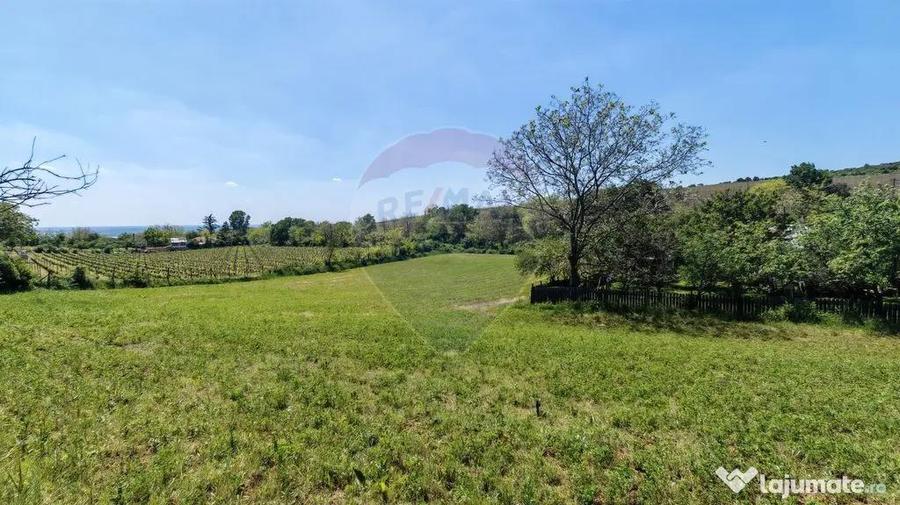 Tere cu constructie de vanzare in Urlati - 3