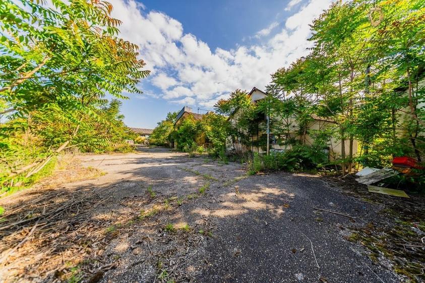 Cladire industriala de vanzare cu potential 3,5 ha in Batania - 29