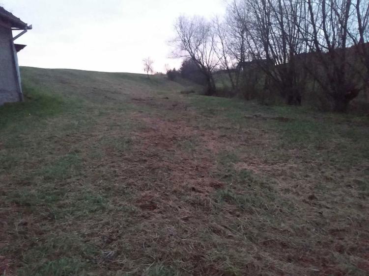 Teren intravilan, Dusesti - 1