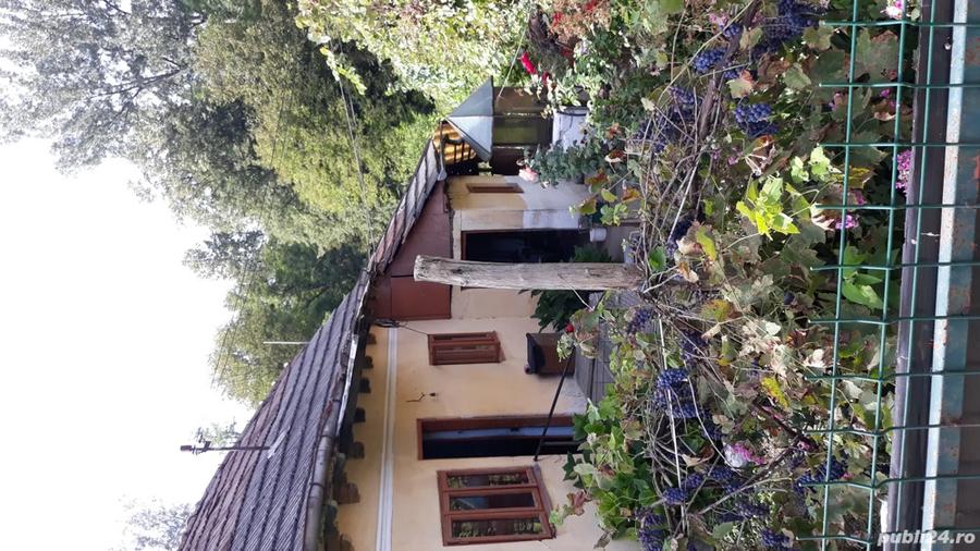 La vanzare doua case locuibile ?i teren 1000 de mp in com. Pietrari, jude?ul Valcea . - 4