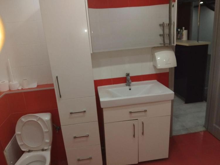 Vand ap 2 camere Bragadiru - 8