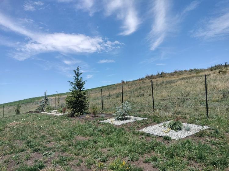 Ofer gradina de relaxare si stat in tihna, in Cluj-Napoca - 1