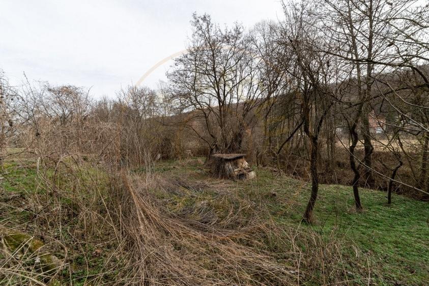 Teren de vanzare – 1221 mp in Budeasa Mica, zona linistita. - 8